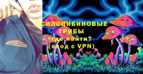 молекула духа Новодвинск