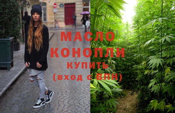 молекула духа Новодвинск