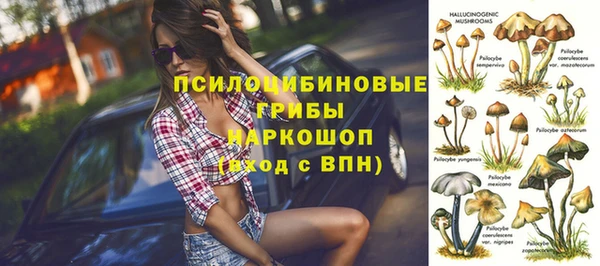 a pvp Бабаево