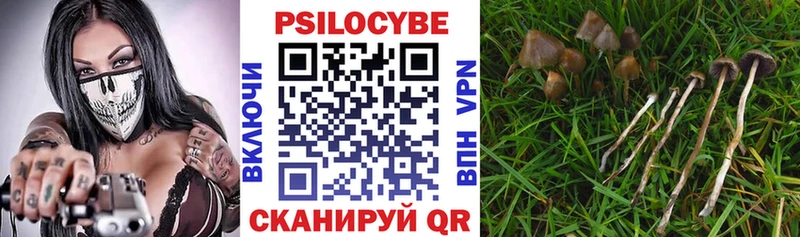 Галлюциногенные грибы прущие грибы  сколько стоит  Владикавказ 