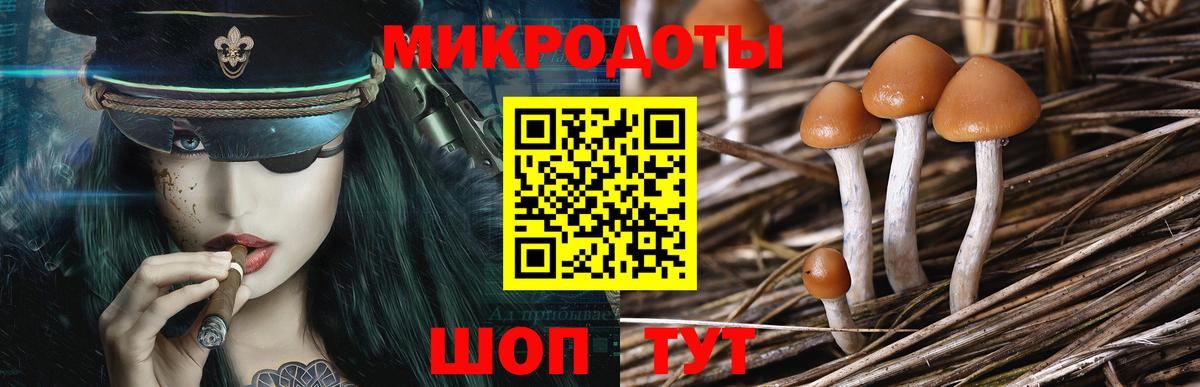 Псилоцибиновые грибы MAGIC MUSHROOMS Владикавказ