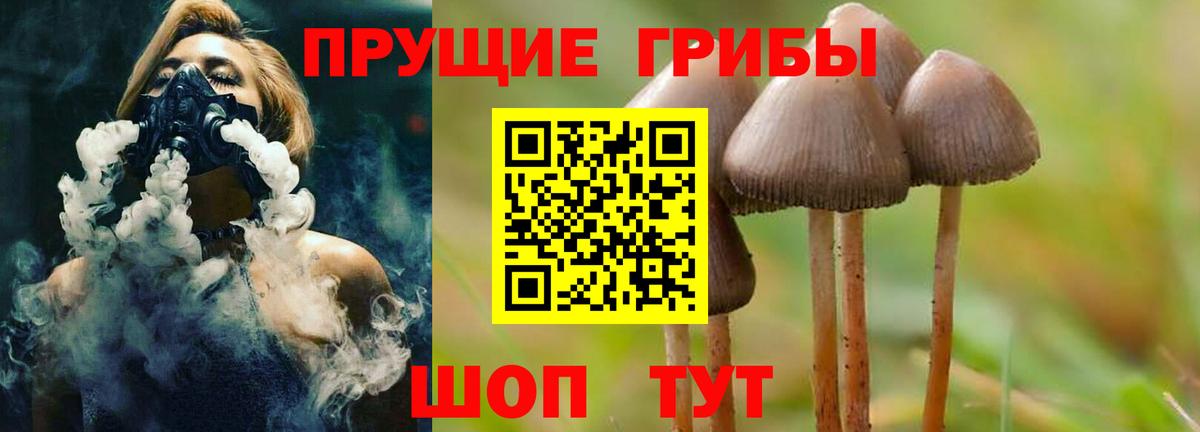 Владикавказ  закладки  Вход с VPN  Галлюциногенные грибы Psilocybine cubensis 